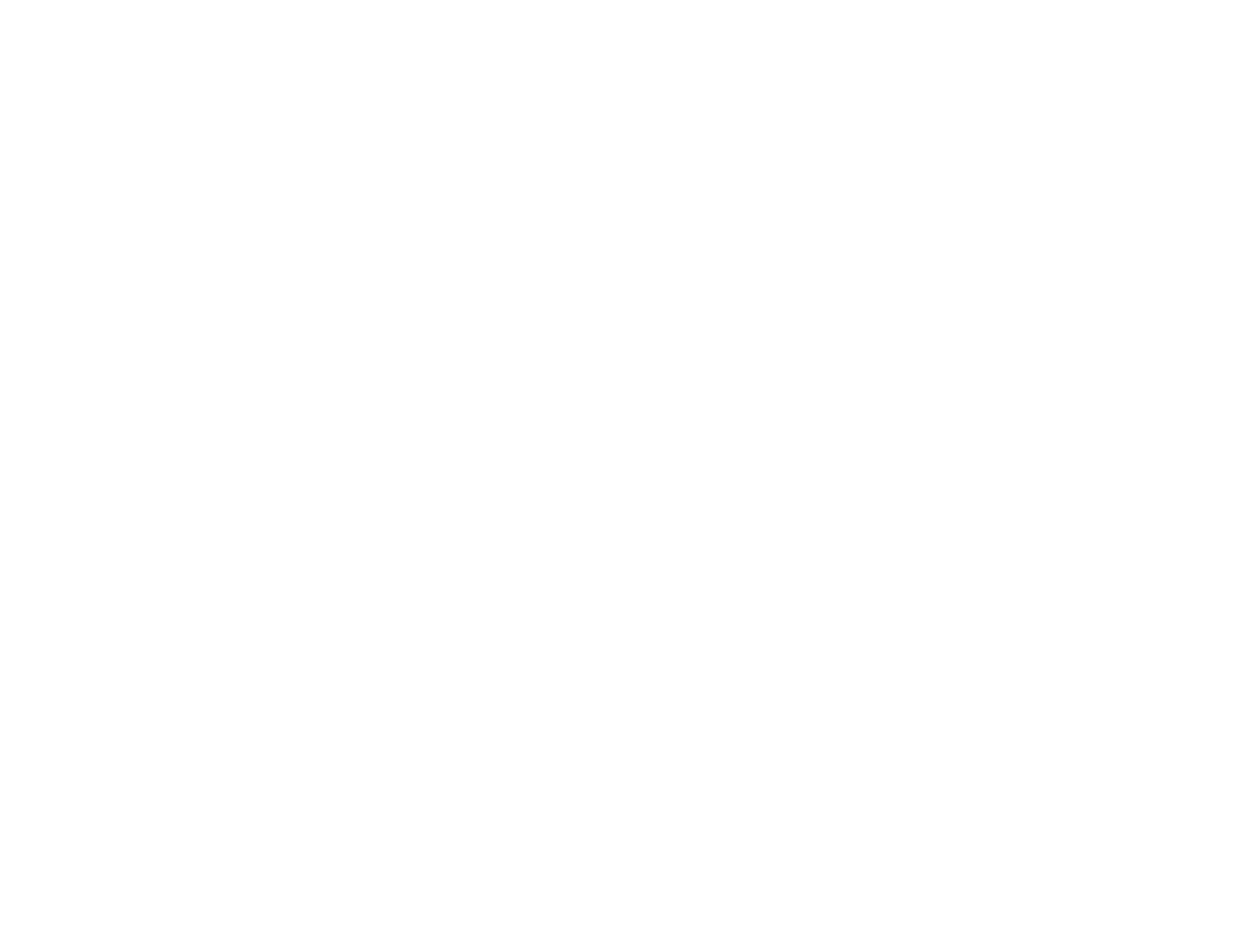 Logo Drone inspectie mba wit