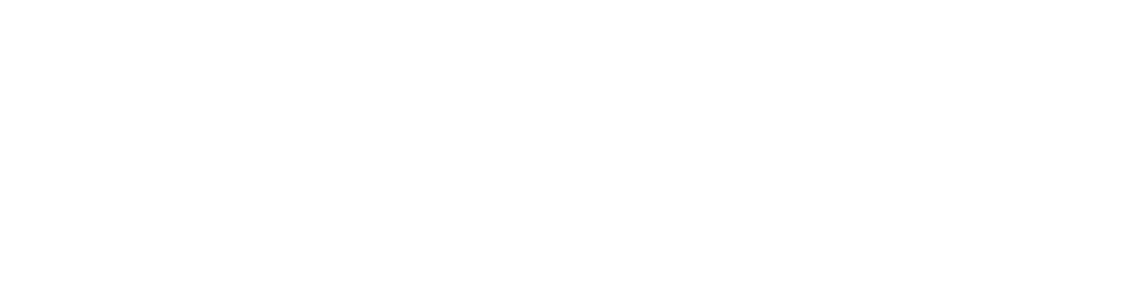 logo Drone inspectie mba wit